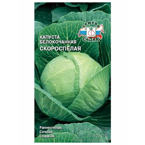 ���� ������� �/� 