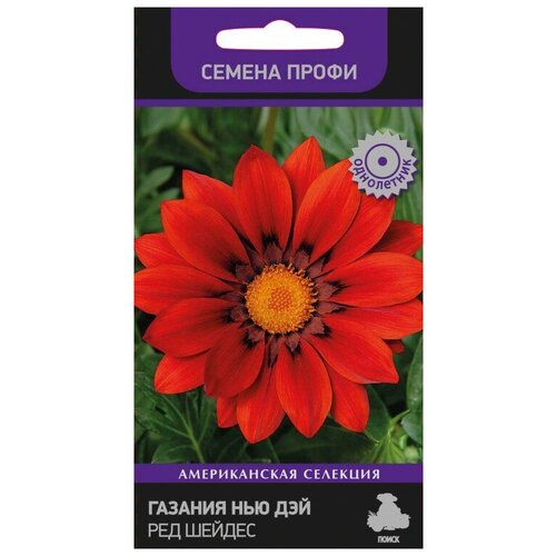 ���� ������� ��� ��� ��� ������ (������ �����) ������ ������