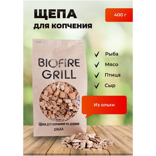     BIOFIRE GRILL 