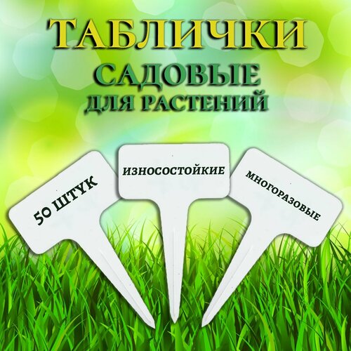 ���� �������� ��� ���������� �������� �������, 50 ���� ������ ������