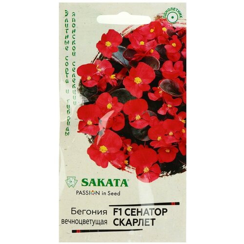 ���� ������ Sakata ������� ������������� F1 ������� ������� 4 ��., 2 ��. ������ ������