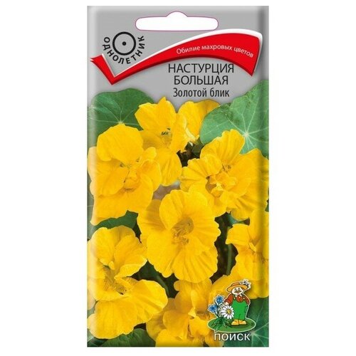 ���� ������ ����� ��������� ������� ������� ���� 1 � ������ ������