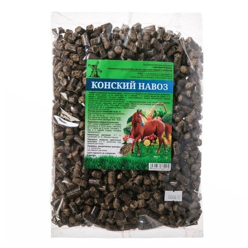 ���� ��������� ������� ����� 