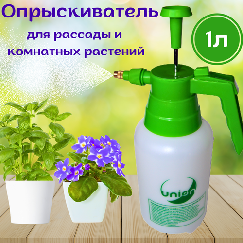 ���� ������������� �������� ������ 1 ���� ������ ������