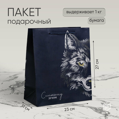 ���� ����� ���������� ��������� �����, 23 ? 27 ? 11,5 �� ������ ������