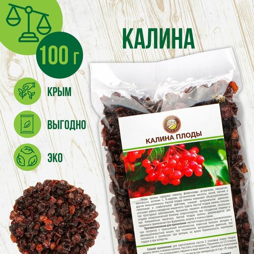 ���� ������ ������� �����, 100 �� ������ ������