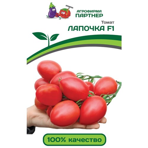 ���� ������ ��������� ������� ����� ������� F1 10 ��. ������ ������