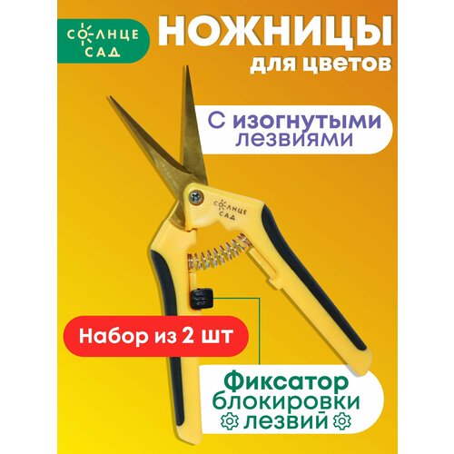 ���� ������� ��� ��� ������ � ���������� �������� ������ ��� ( ����� �� 2 �� ) ������ ������