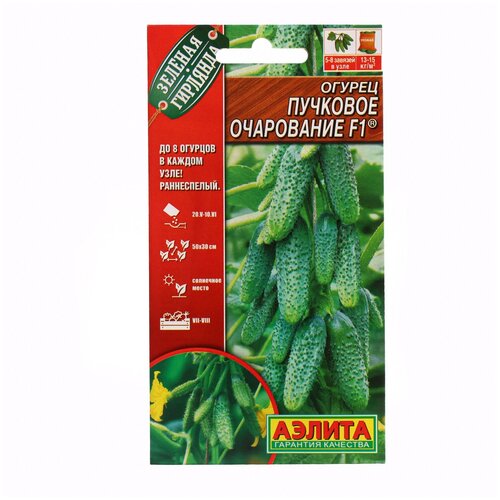 ���� ������. ������ �������� ���������� F1 ������������������������� ��������, 10 �� ������ ������