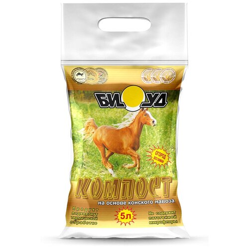 ���� ������� ���� �������, 5� ������ ������