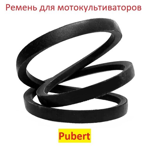      PUBERT 13567A / 0306030002   -     , -, 