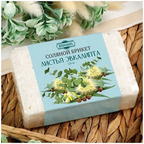 ���� ����������� ������� ������ 