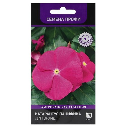 ���� ������ ����� ���������� ��������  ��� �����, 10 �� ������ ������