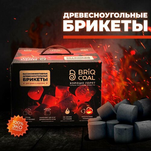  BriqBOX 4  -    BRIQCOAL   -     , -, 