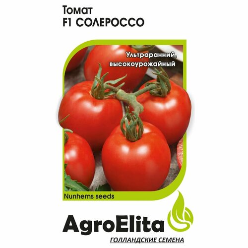 ���� ������ ����� ��������� F1 5�� ��� ������ (���������) ��������� ������ ������ ������