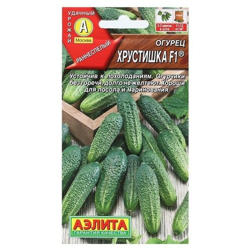 ���� ������. ������ 