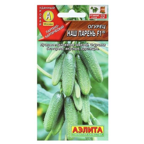 ���� ������ ������ 