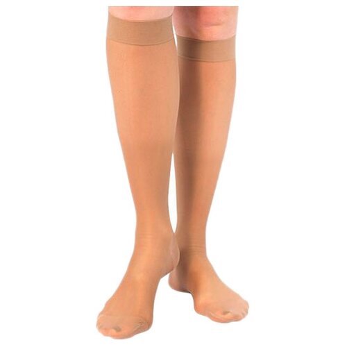 ���� ������ Ergoforma 321 �����������������, 2 �����, ������: 2, �������� ������ ������