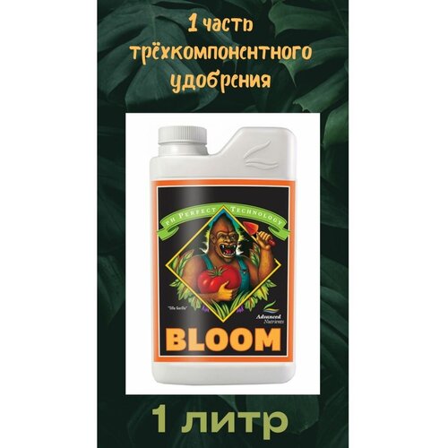 ���� PH Perfect Bloom 1 � | Advanced Nutrients ������ ������