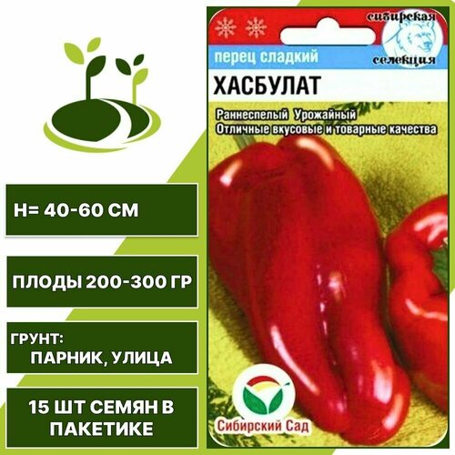 ���� ����� ������� �������� 1 �� ��, ��������� ���, 15 �� ����� � �������� ������ ������