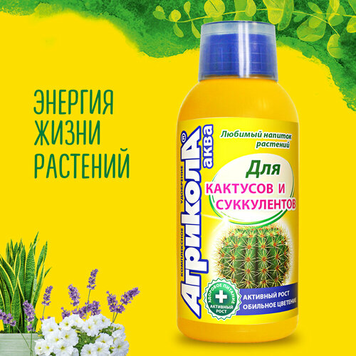 ���� ������ ����������������� ��������� ��� �������� � ����������� �������� ���� ������ ������