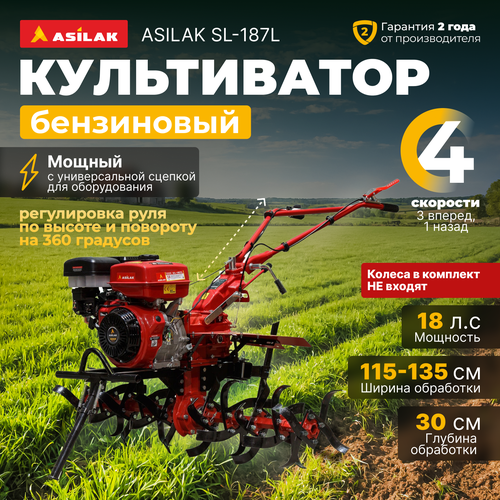    ASILAK SL-187L (AS1556-1)   -     , -, 