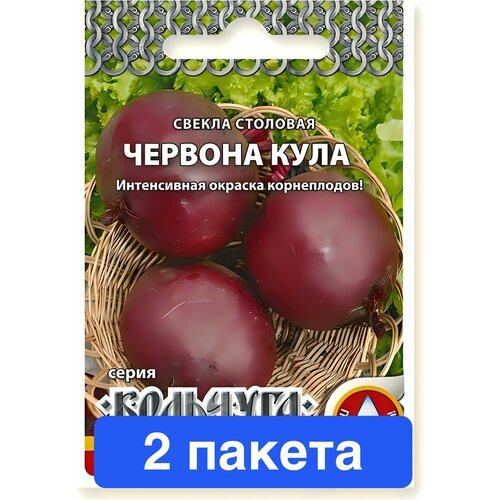 ���� ������ ������ ������� ������ 