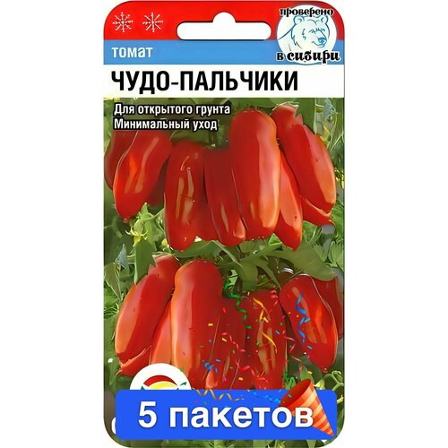 ���� ����� ����-�������� 5 ������� ������ ������