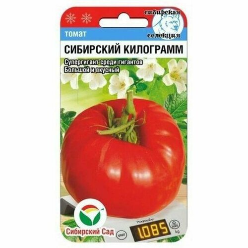 ���� ������ ����� ��������� ���������, ������������, (��������� ���) 20�� ������ ������