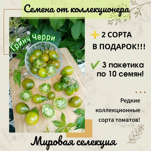 ���� ����� ���� ����� �����, ������� ��������, ������������� ���� ������ ������