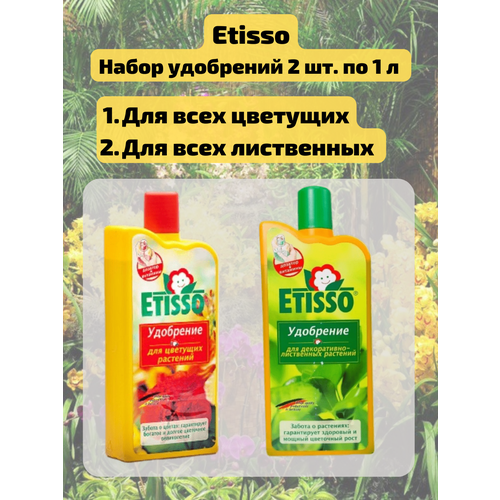  .     1     - 1 . Etisso   -     , -, 