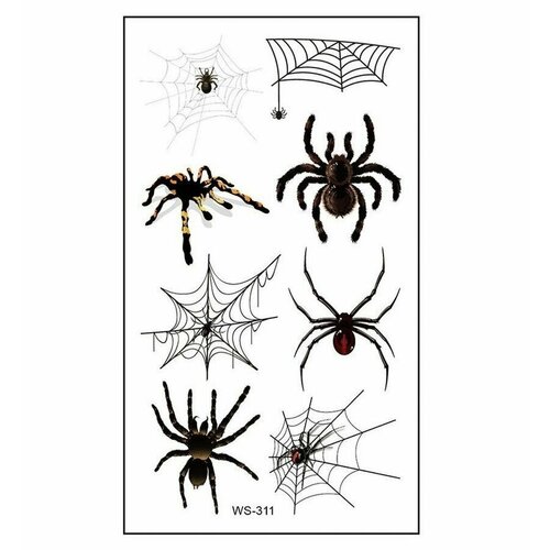 ���� ���������� ���� ��������� ����� �������� ������ ������