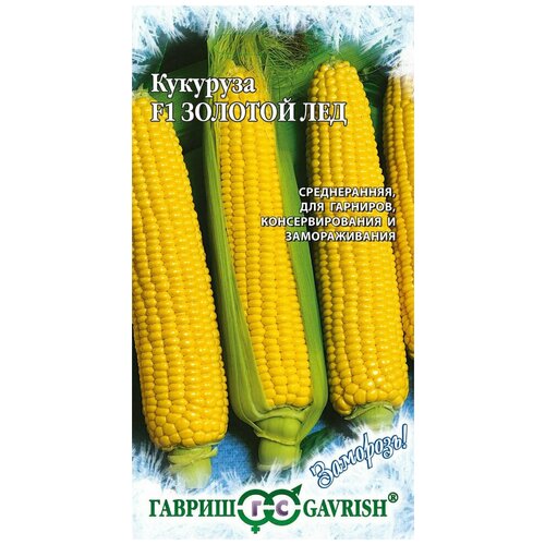 ���� ������ �������� ������� ��� F1, 5 ����� ������ ������