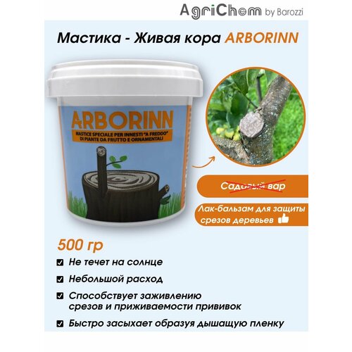        ARBORINN 500 .  