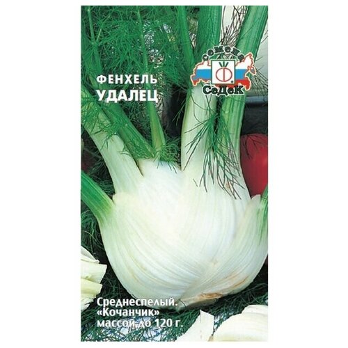 ���� ������ ������� ����� ������ ������ ������