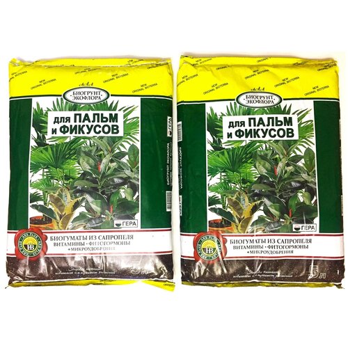 ���� �������� ���� ��� ����� � �������, 5 �, 2.47 ��, 2 ��. ������ ������