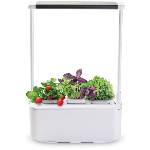 ���� ����� � ������� �����-��� iGarden PRO, ����� ������ ������