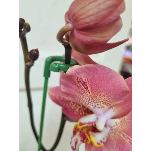 ���� ����� ����� ��� ������� 3�� ����� 58��/3 ������ ��� �������� ������ ������