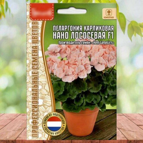 ���� ������ ���������� ���������� ���� ��������� F1 1 ��. ������ ������