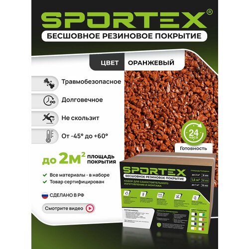 ���� ����� Sportex, ��� ���������������� ���������� ���������� ��������, ������� 2-4��, 12��, ���� ��������� ������ ������