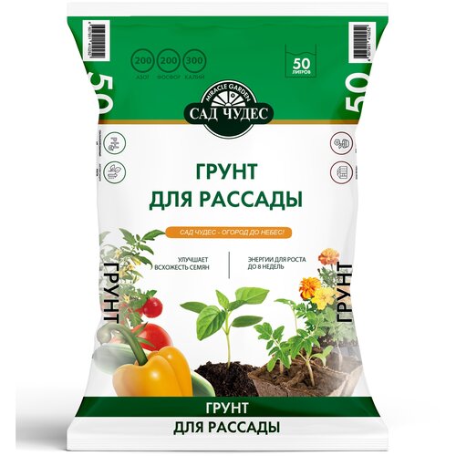 ���� ����� ��� ����� ��� ������� 50 �. ������ ������