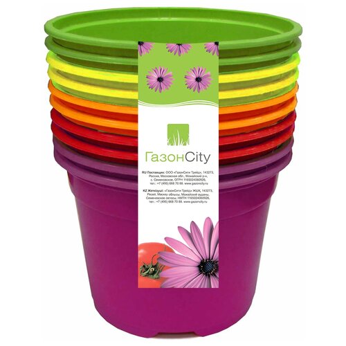  City  Color 83665695, 9 , 0.26 , 10 .,    -     , -, 