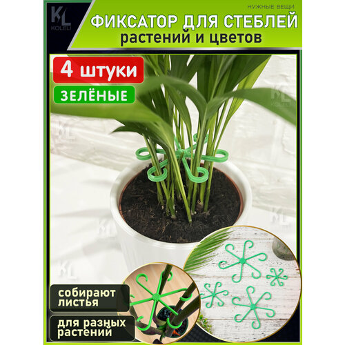 ���� KoLeli / ������ ����� ��� ����� ������� �������� / ������ ��� ��������� � �������� ������� � �����, ������� ������ ������