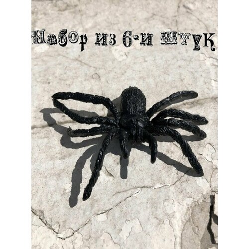 ���� ������� ���� ������ ����� 6 �� ������ ������