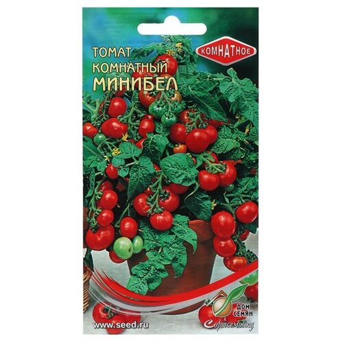 ���� ������ ��� ����� ����� ��������� �������, 15 �� ������ ������