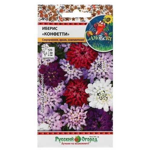 ���� ������ ������ ������ 