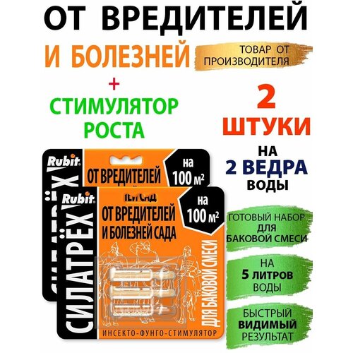 ���� �������� �������� �������-�����-���������� 2��, ����� ������ ������