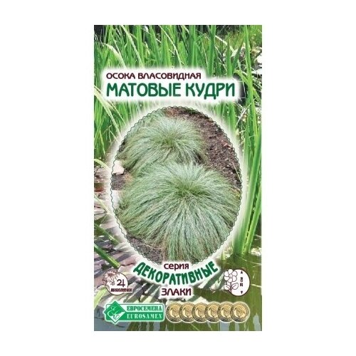 ���� ������ ����� ����������� 