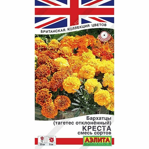 ���� ������ �������� ������ ����� ������, ����������, (������) 7�� ���������� ��������� ������ ������ ������