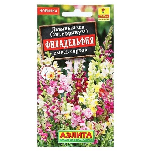 ���� ������ ������ ������� ��� 